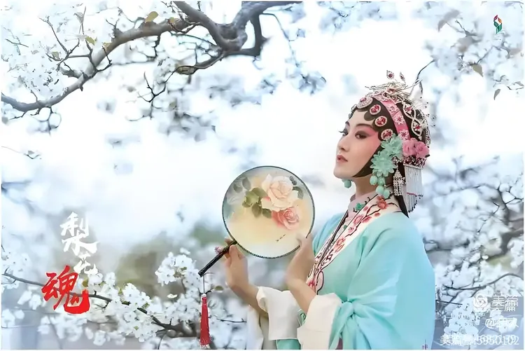 醉人心扉的《梨花颂》